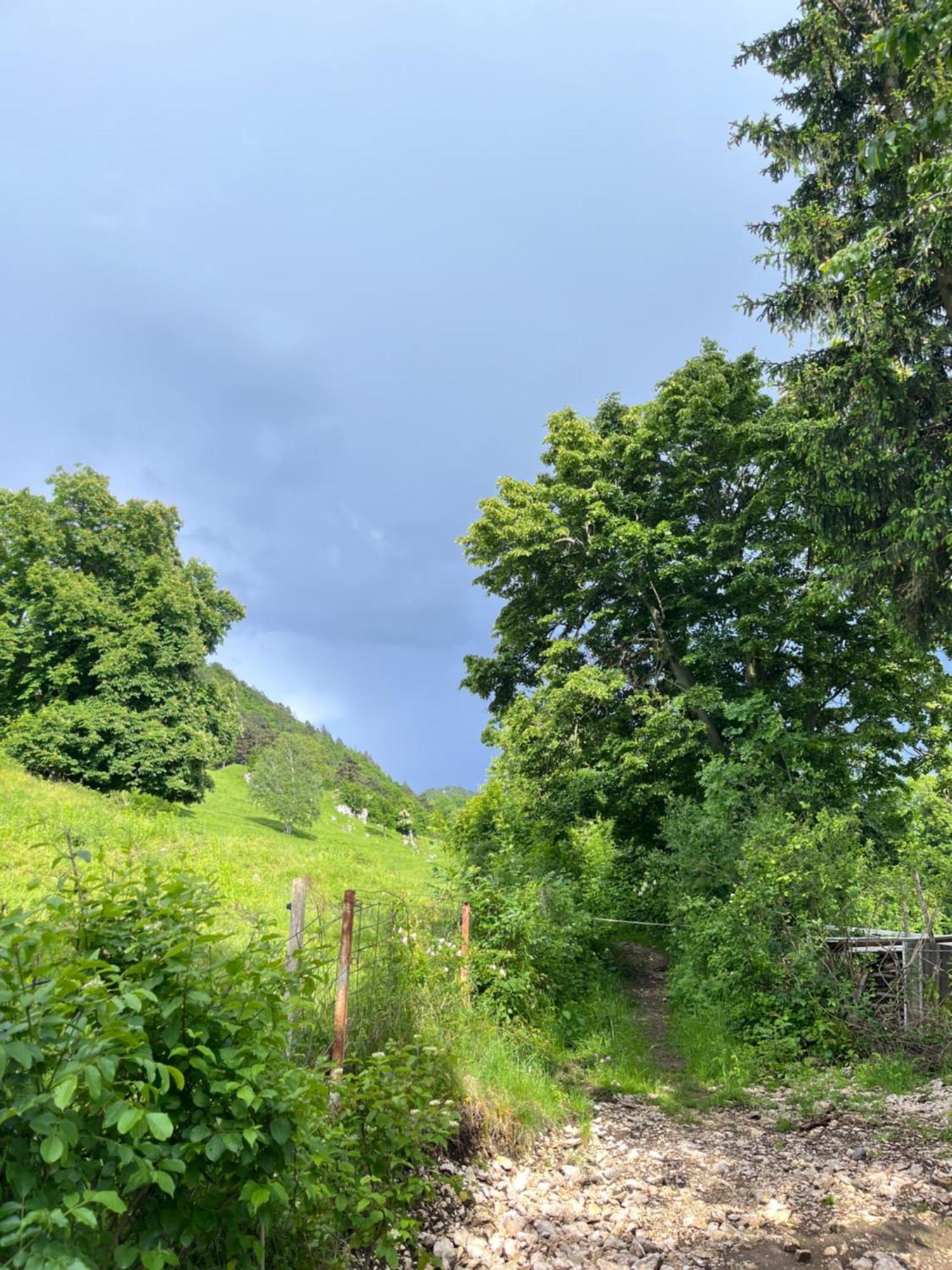 Cottage Zirovnica Bagian luar foto