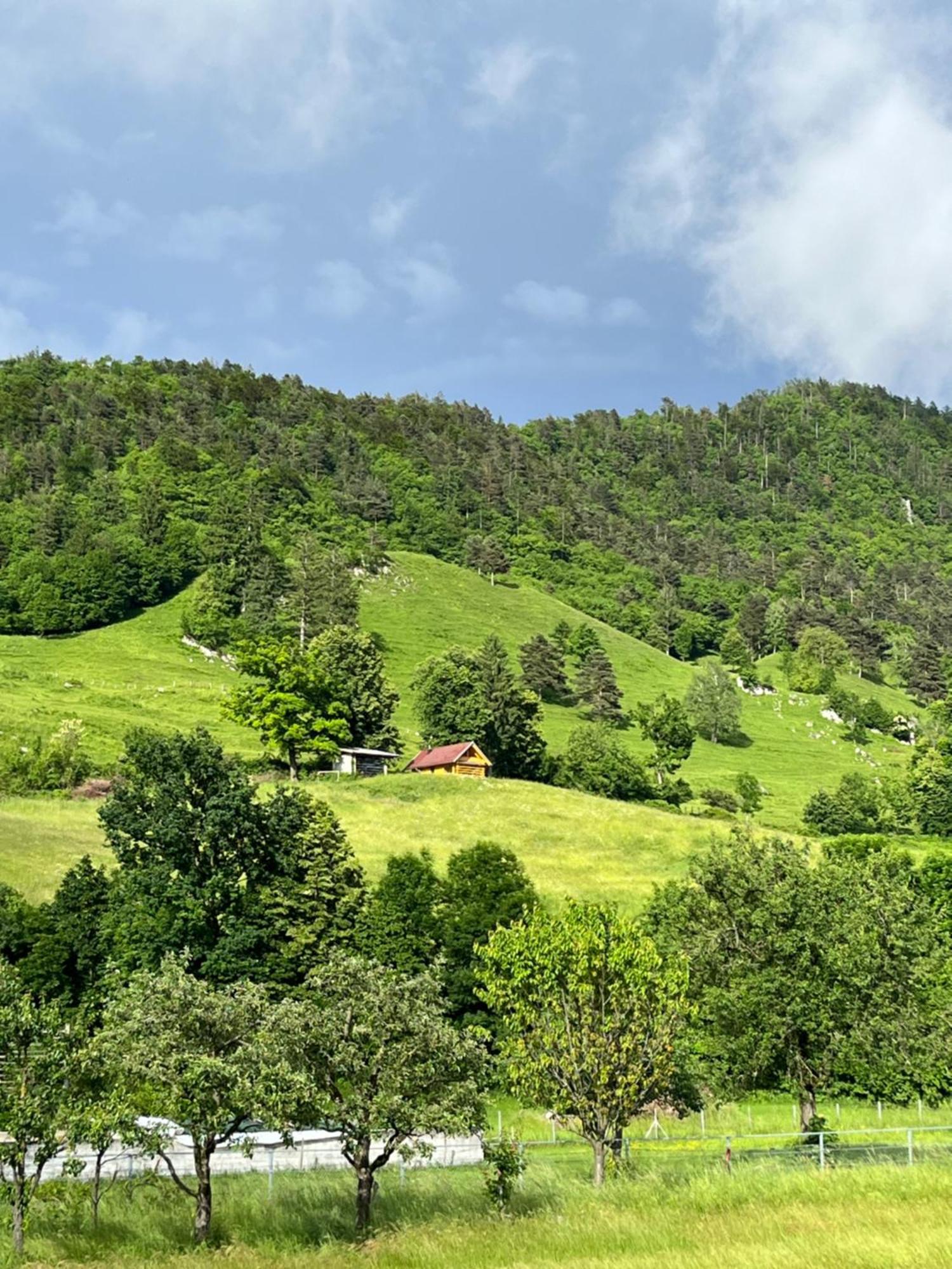 Cottage Zirovnica Bagian luar foto