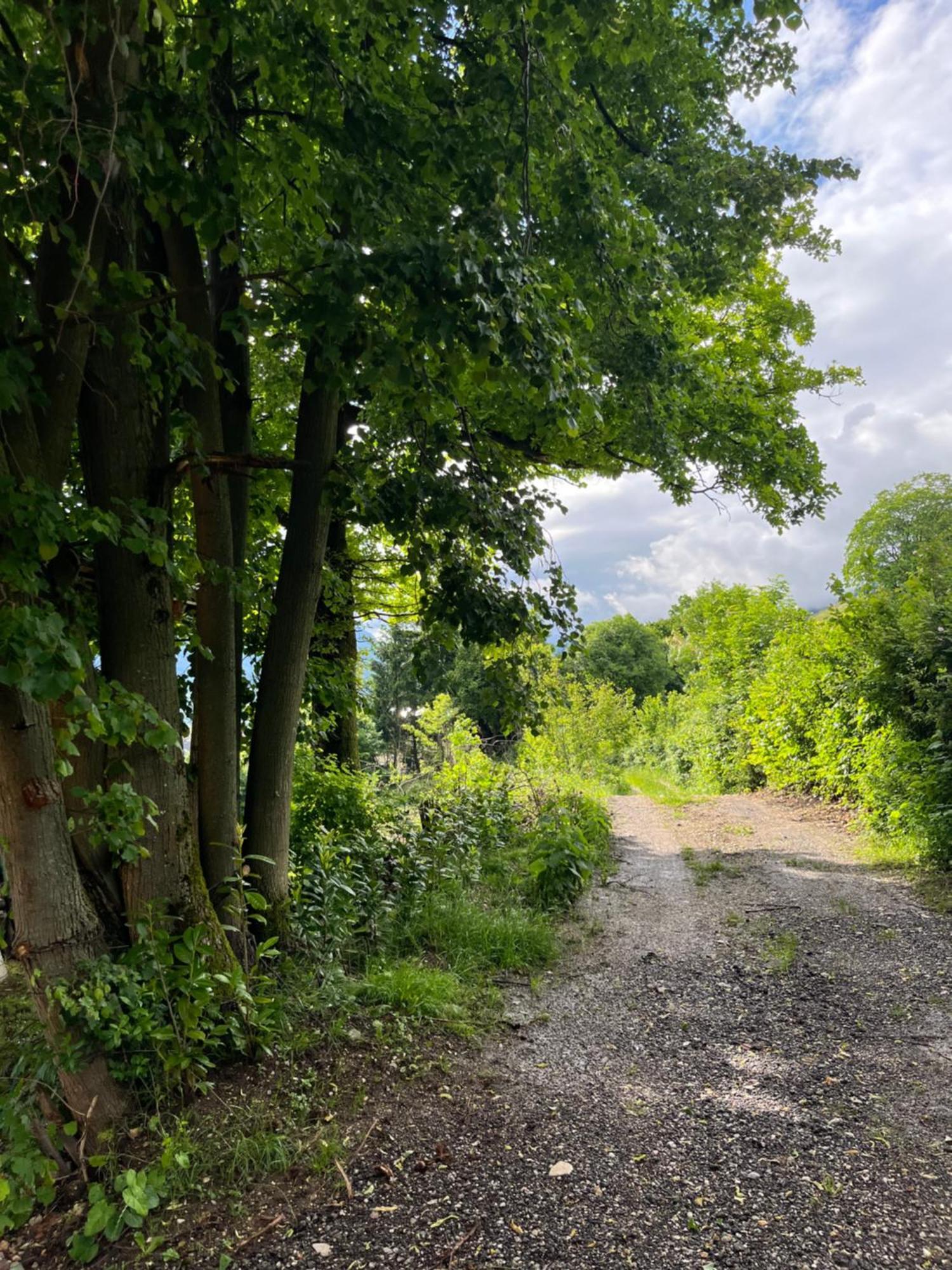 Cottage Zirovnica Bagian luar foto