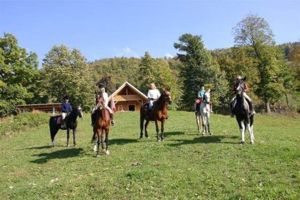 Cottage Zirovnica Bagian luar foto